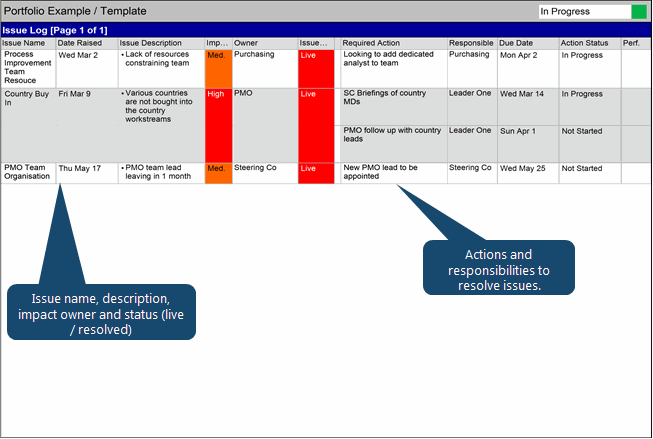 Program Plan Reporting - Project Issue Log in Swiftlight