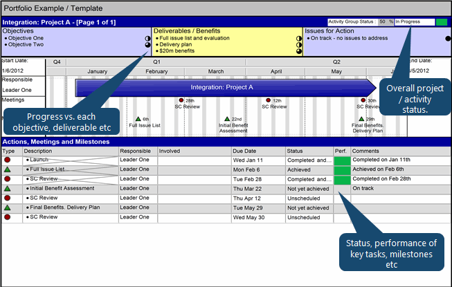 Program Plan Reporting - Project Summary Example in Swiftlight